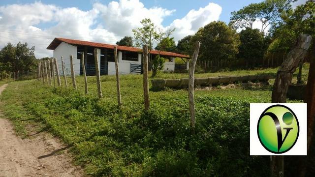 Fazenda Com 49.7 Hectares a 8 km do Centro da Cidade-Gravatá-PE - Foto 18