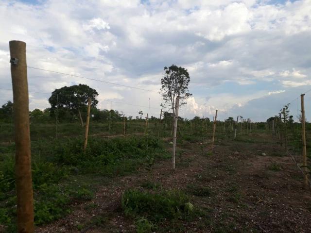 Chácara à venda em Zona rural, Varzea grande cod:20849 - Foto 14
