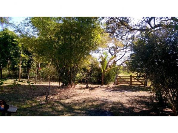 Chácara à venda em Zona rural, Santo antonio do leverger cod:21685 - Foto 2