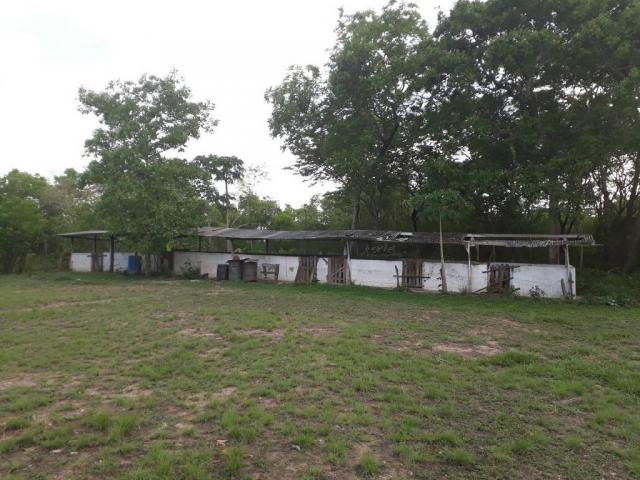 Chácara à venda em Zona rural, Varzea grande cod:20849 - Foto 12