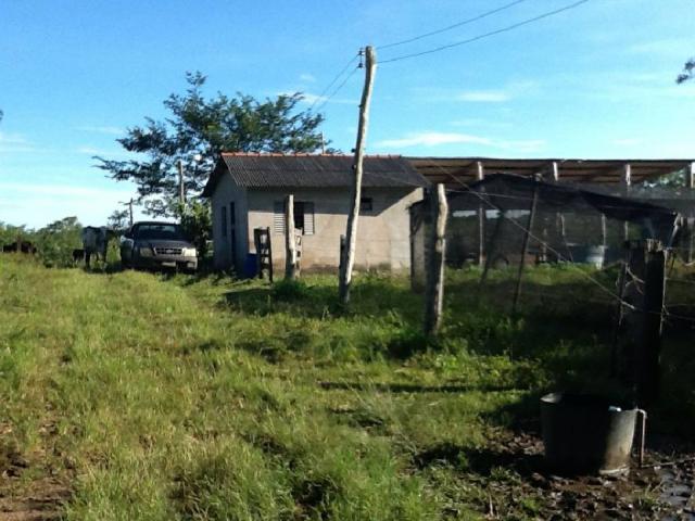 Chácara à venda em Zona rural, Nossa senhora do livramento cod:21342 - Foto 4