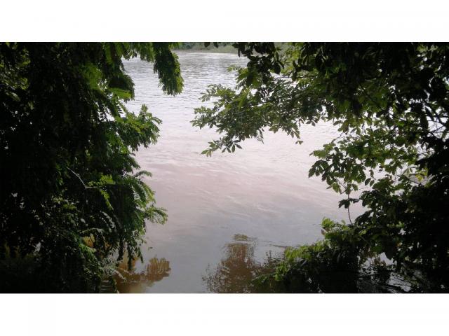 Chácara à venda em Zona rural, Nossa senhora do livramento cod:13185 - Foto 20