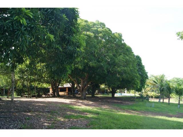 Chácara à venda em Zona rural, Cuiaba cod:20985 - Foto 5