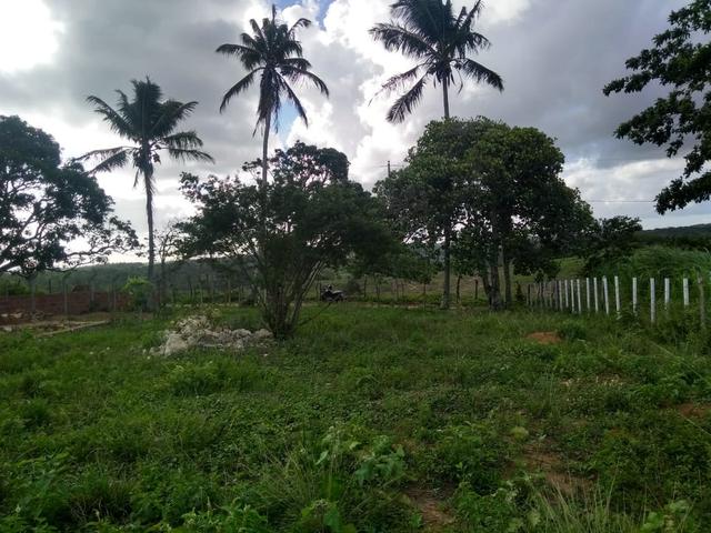 Terreno Em Pedra Branca - Foto 10