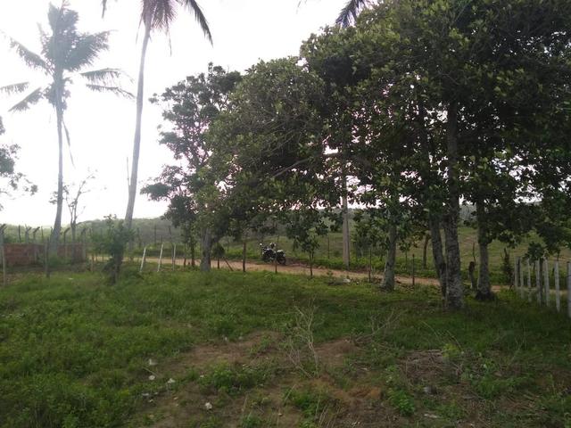 Terreno Em Pedra Branca - Foto 6