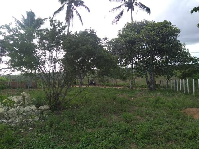 Terreno Em Pedra Branca - Foto 2