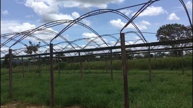 Estufa agrícola 2 por 6.300R$