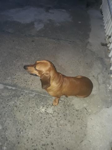 Procuro namorada - Foto 2