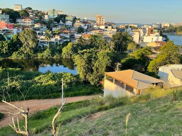 Lote piuma-iriri  - Foto 3