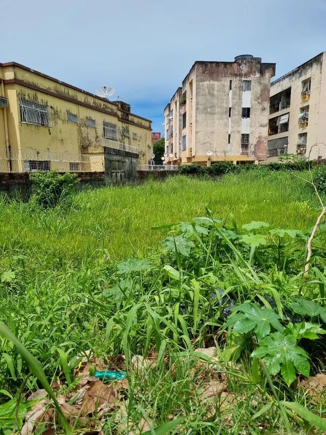 foto - Olinda - Bairro Novo