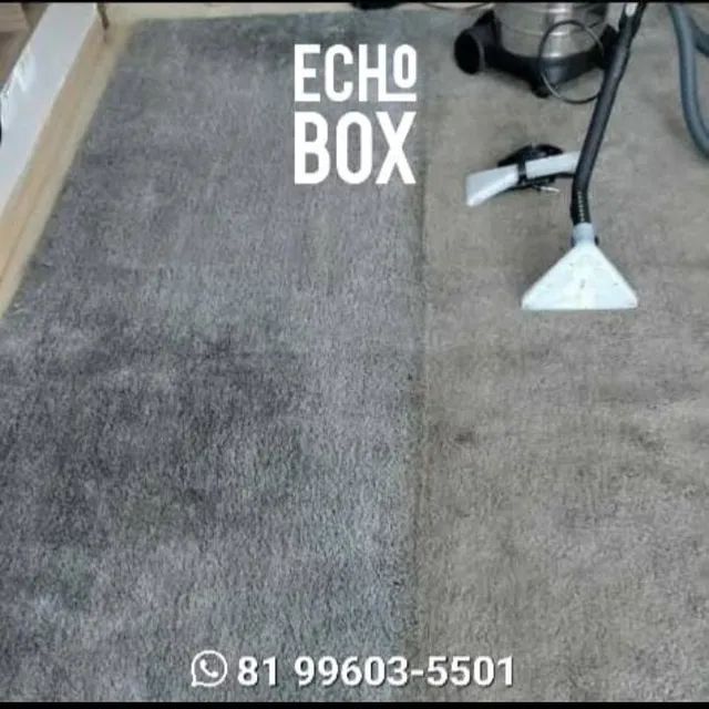 Deixe seu ambiente mais aconchegantes com a lavagem e higienização da Echo Box! - Foto 2