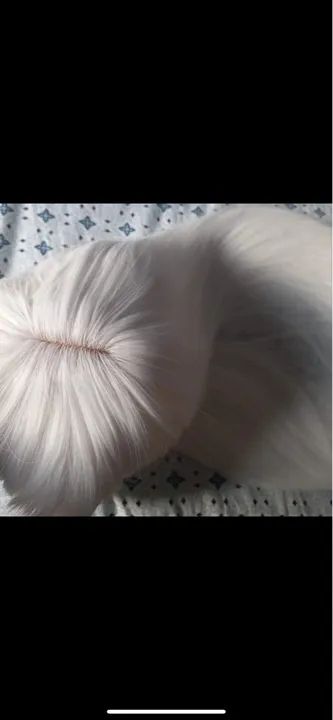 Peruca Branca longa para cosplay - Foto 2