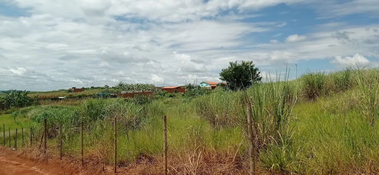 foto - Piracicaba - Centro