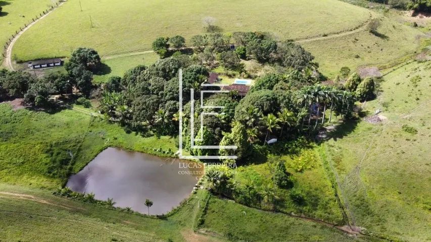Fazenda Pindorama - Belíssima fazenda de 58ha entre Joaquim Gomes e Matriz de Camaragibe - Foto 5