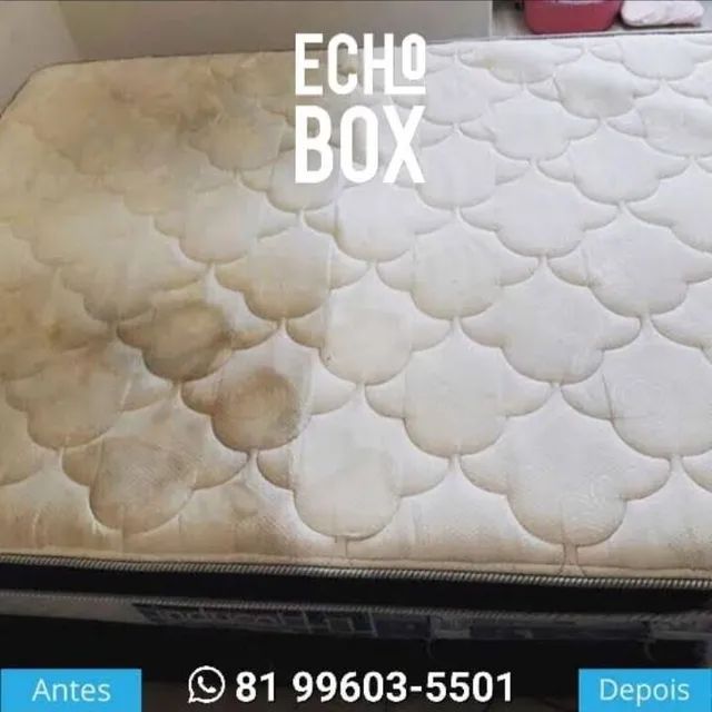 Deixe seu ambiente mais aconchegantes com a lavagem e higienização da Echo Box! - Foto 3