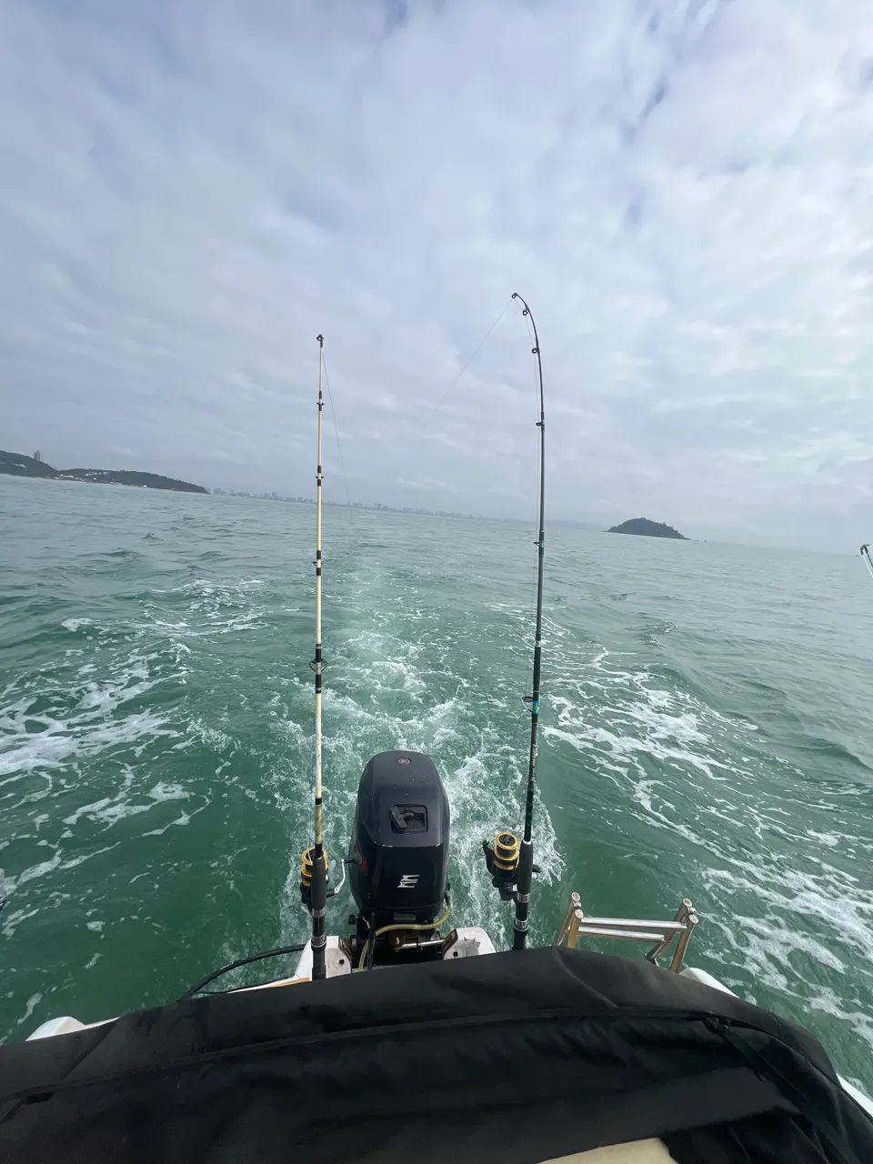 Motor 35 Hp evinrude 3 cilindros  2002 - Foto 3