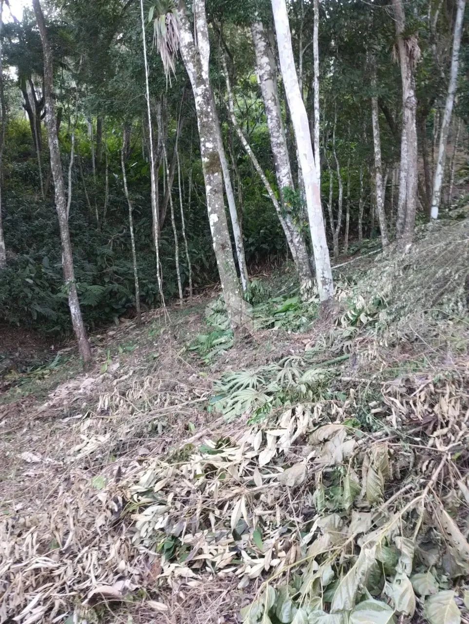Terreno no bairro Forquilhas, em São José - SC - Foto 7