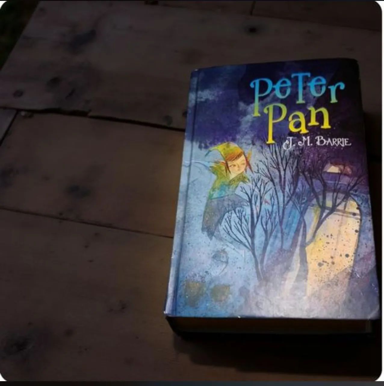Livro Peter Pan - J. M. Barrie capa dura 