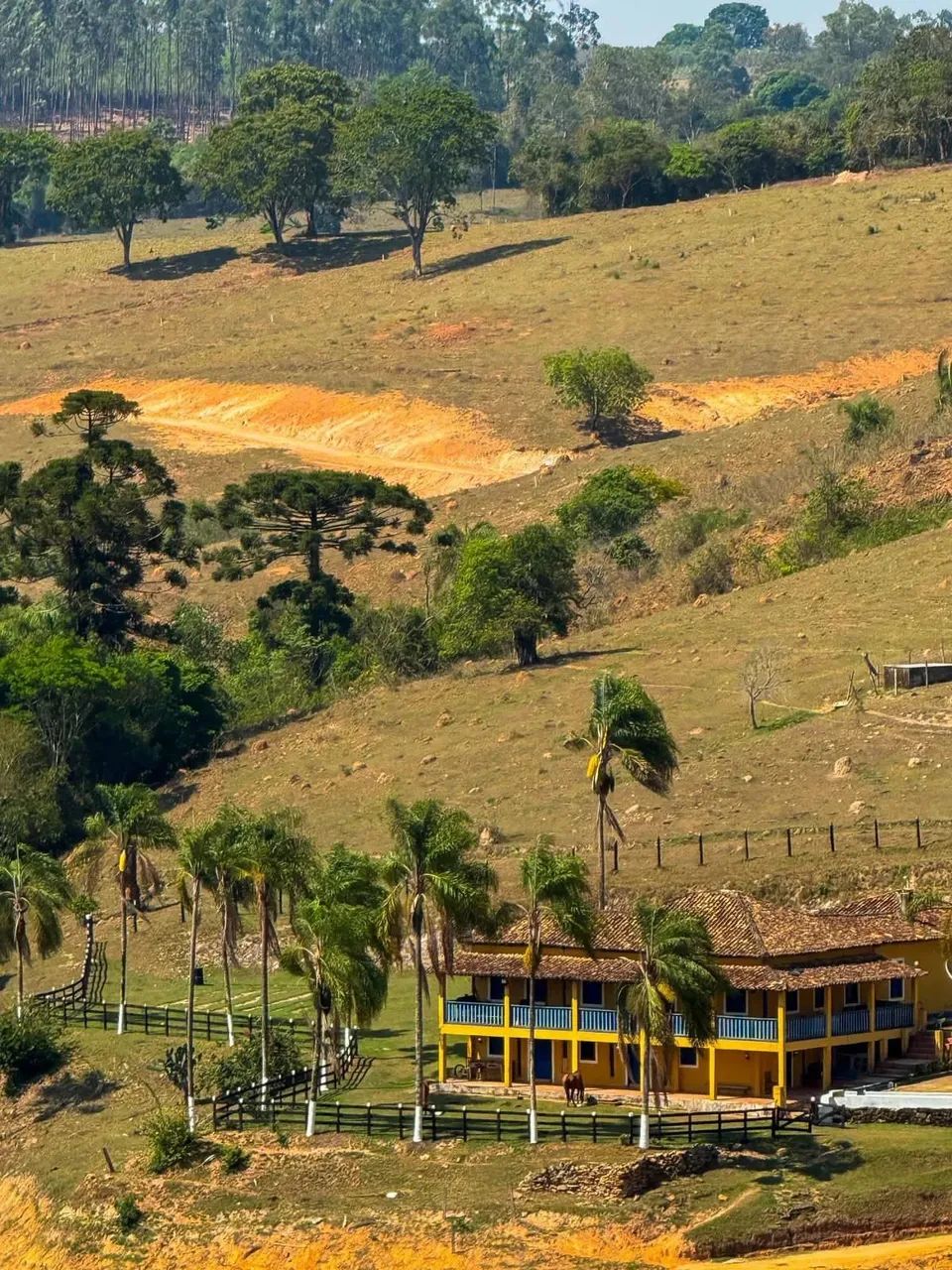 LINDOS LOTES A VENDA EM REGIÃO RURAL EXUBERANTE NA CIDADE DE JACUTINGA CONFIRA! LANÇAMENTO - Foto 4