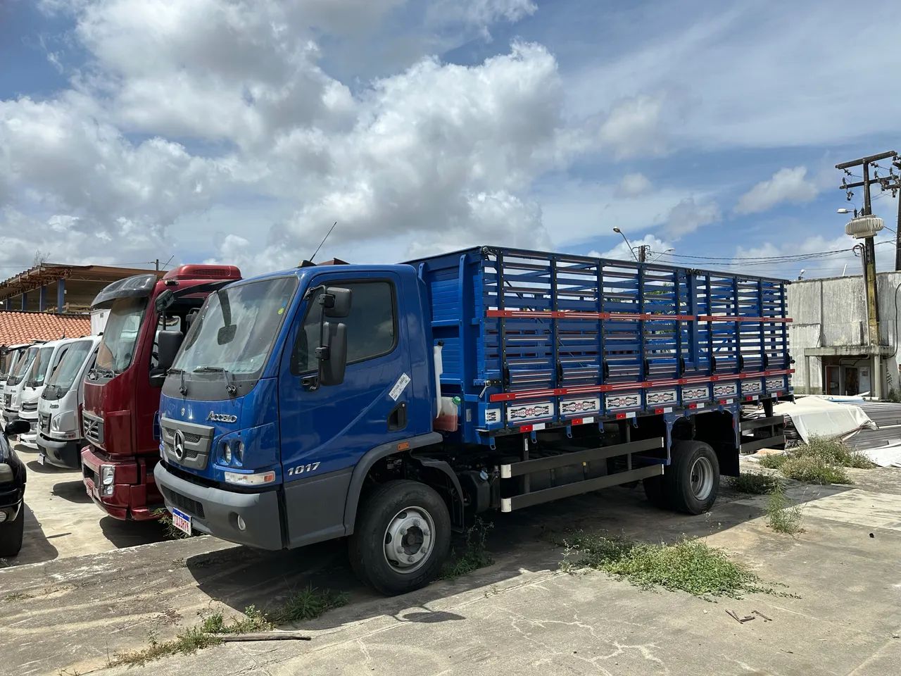 ACELLO 1017 - Foto 3