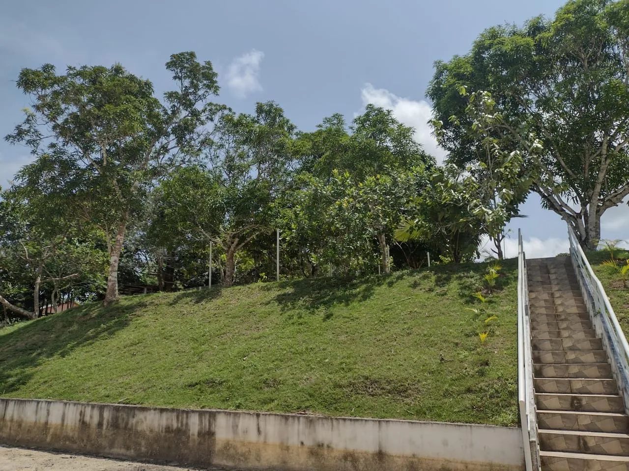 Aluguel Chácara e Sítio no Ramal da cachoeira do Castanho Km 23 Iranduba -Amo - Foto 5