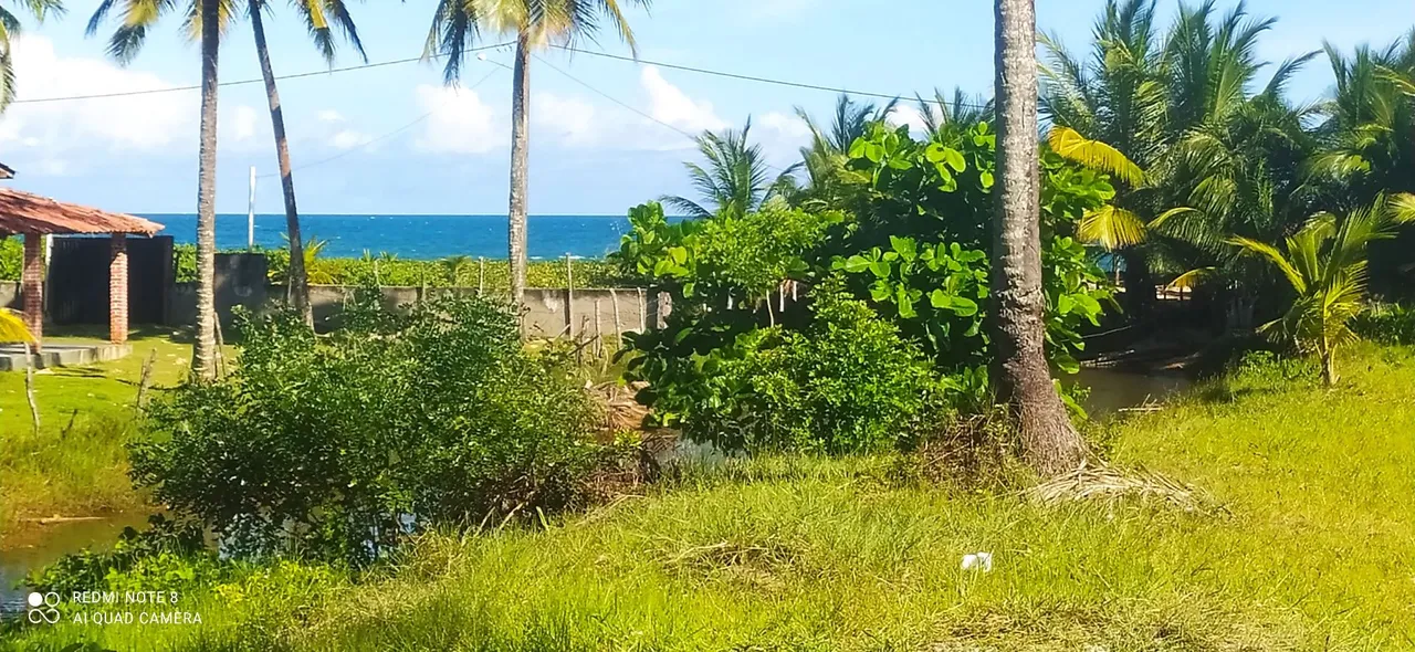Vendo um terreno pé na areia na beira da praia