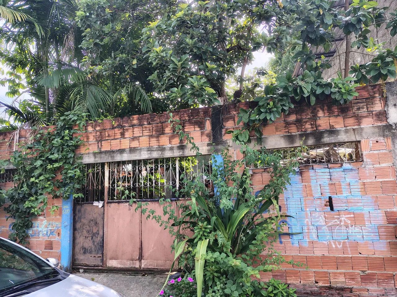 Foto - Manaus - Armando Mendes