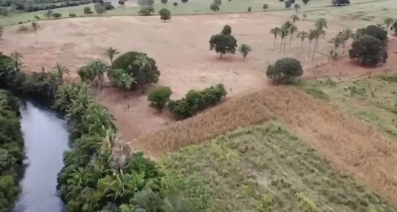 FAZENDA À VENDA  COCOS/BA    475 HECTARES  DUPLA APTIDÃO - Foto 5