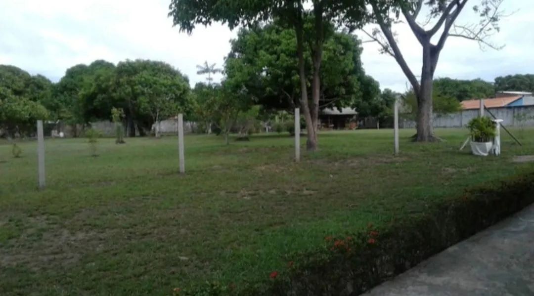 TERRENO EM PARINTINS-AM  - Foto 8