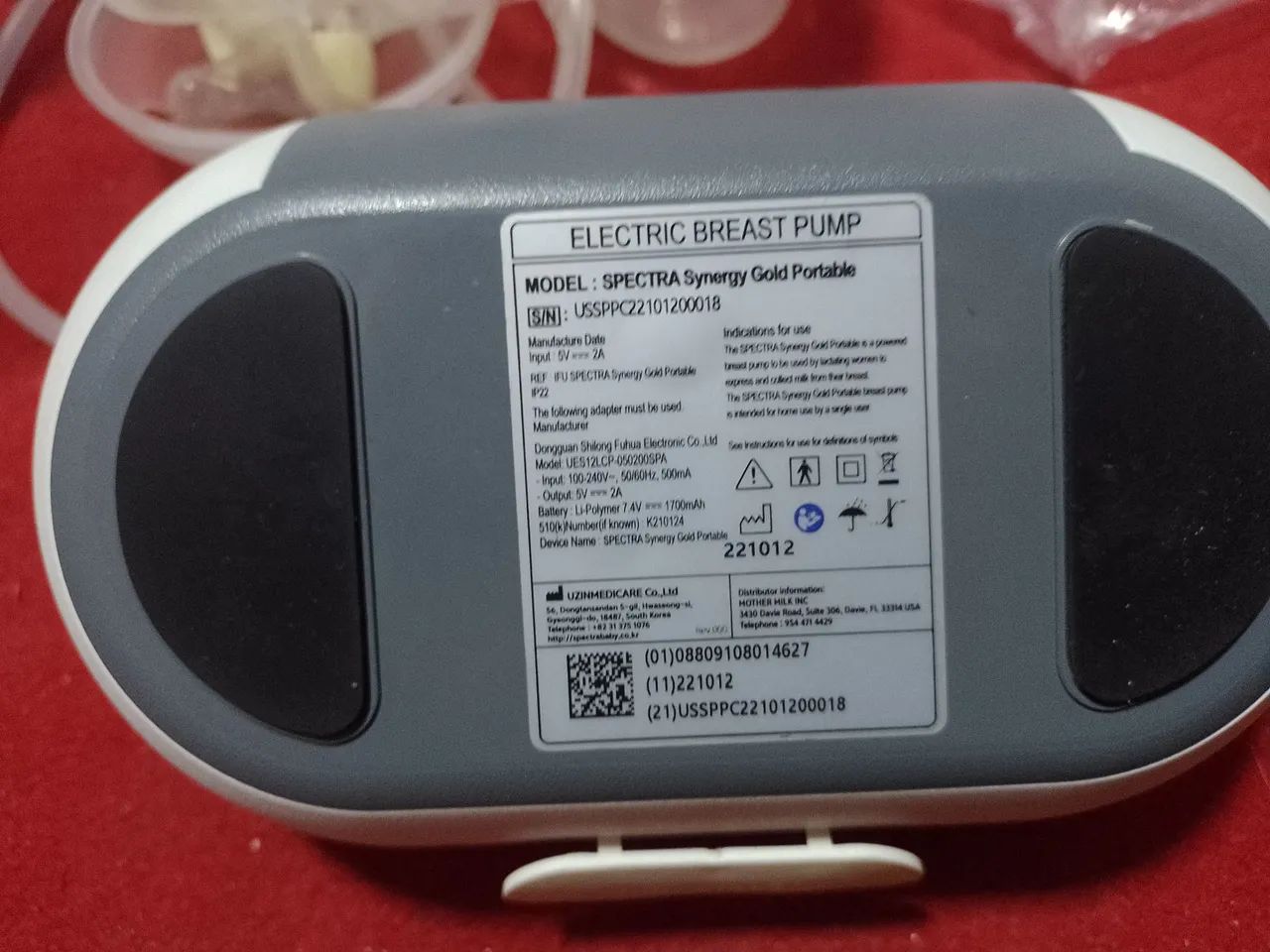 Ordenia umana  - Foto 4