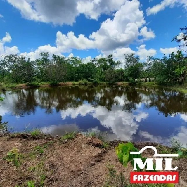 Fazenda 210 Alqueire (1016Ha) Alto Garças - MT - Foto 4