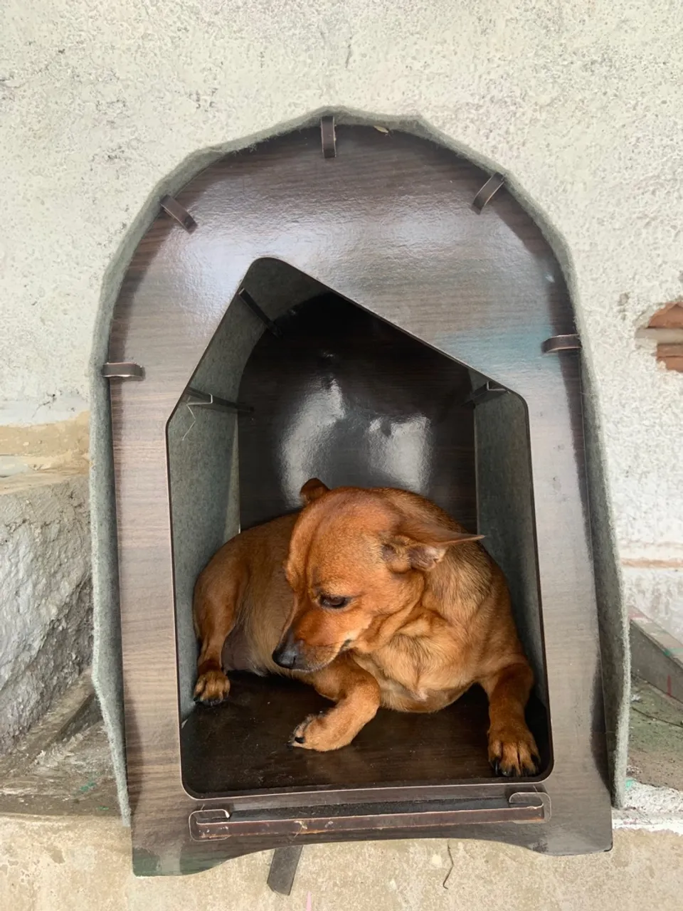 Casa de pets porte pequeno