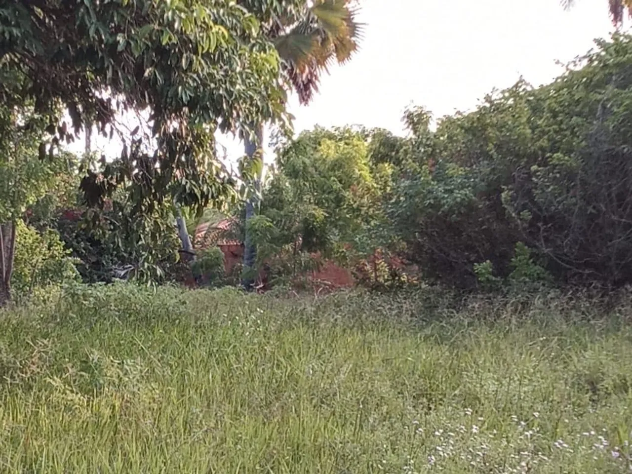 Ótimo terreno na zona de expansão