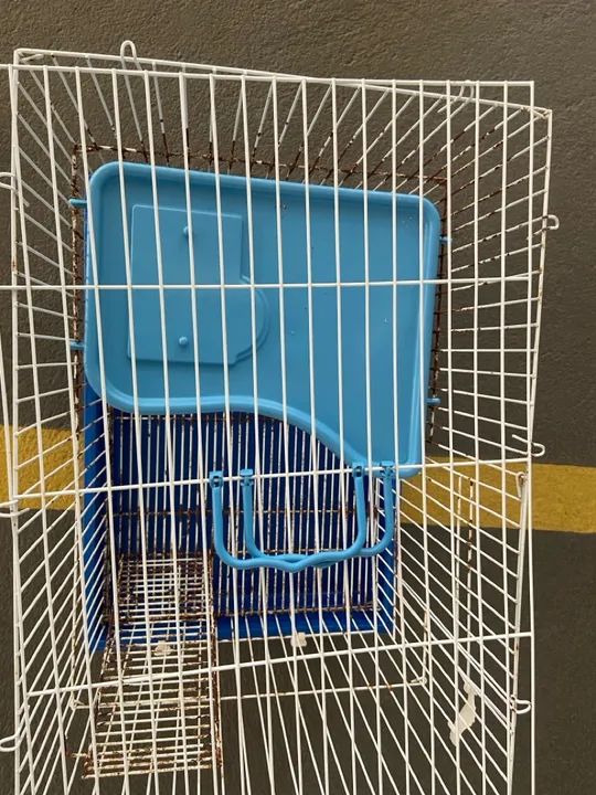 Gaiola roedores maiores( Twister, chinchila, etc)