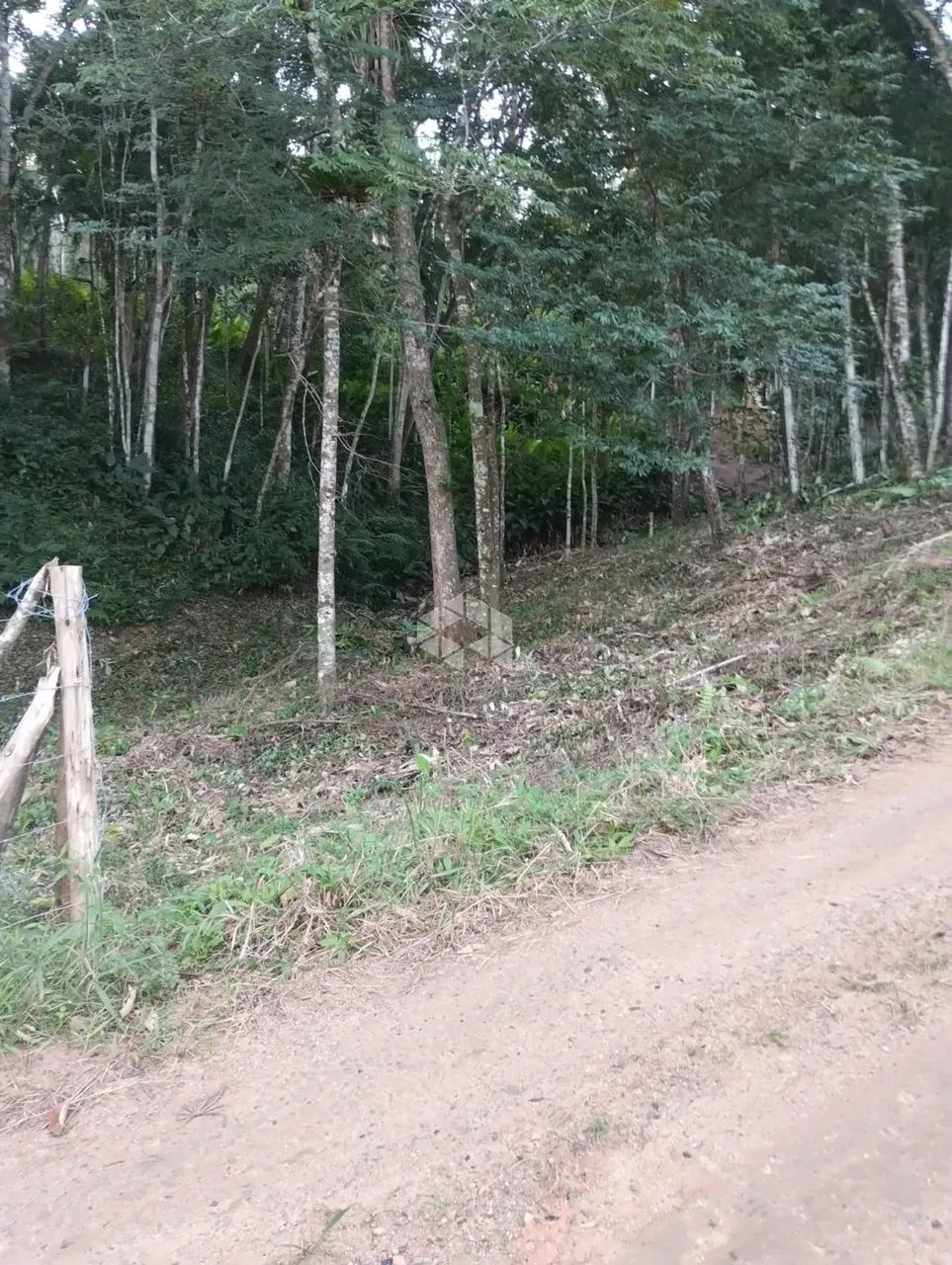 Terreno no bairro Forquilhas, em São José - SC - Foto 10