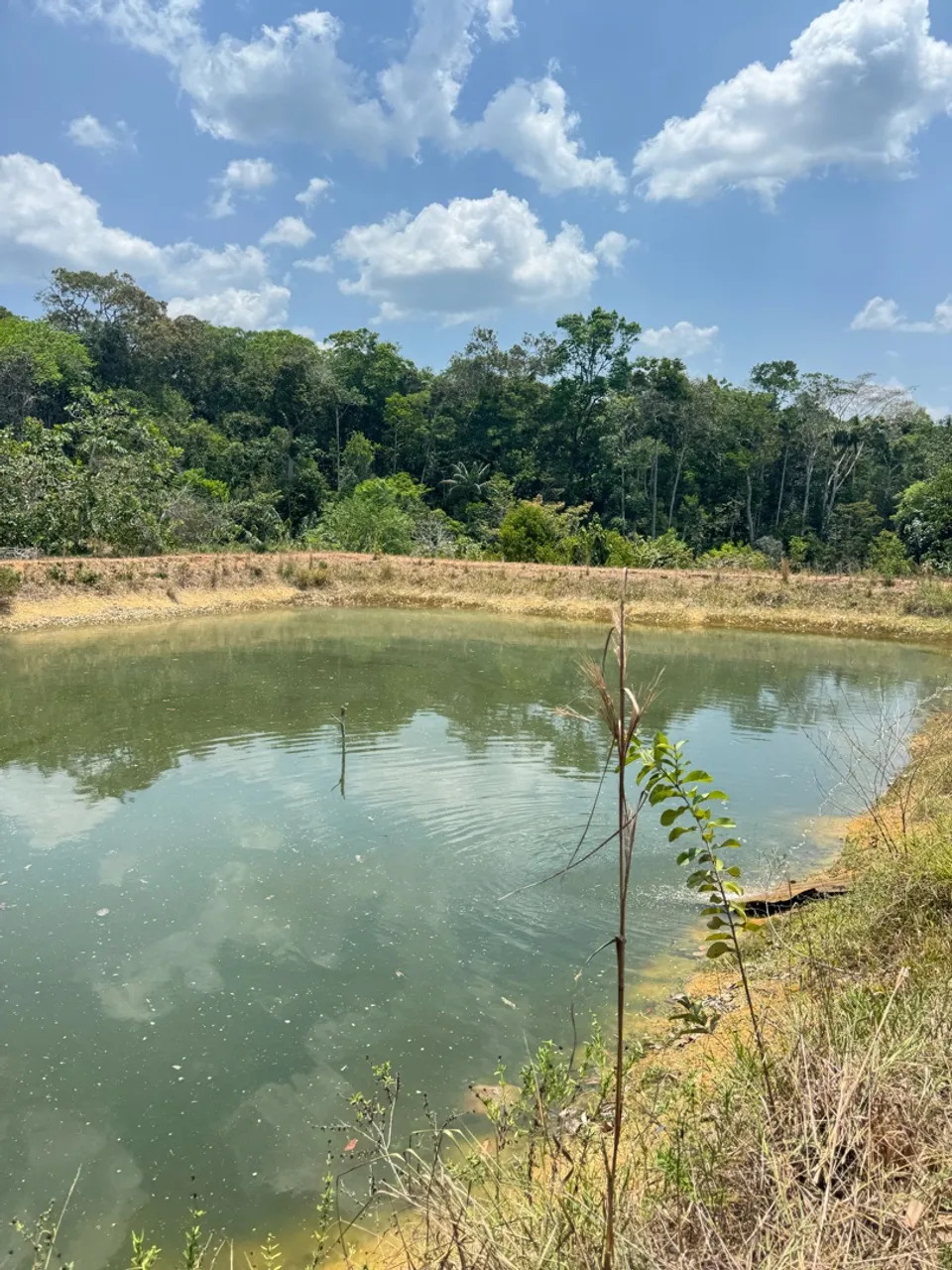 Vendo sítio ramal do pau Rosa