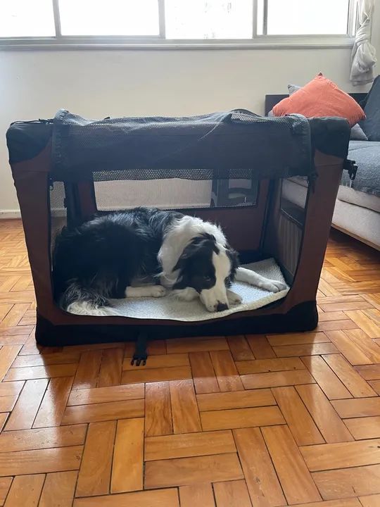 Caixa de Transporte para Cães - Foto 2