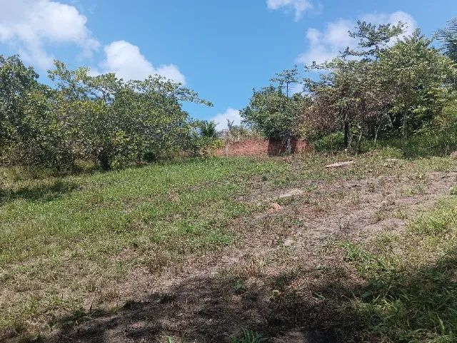 Terrenos  - Foto 4