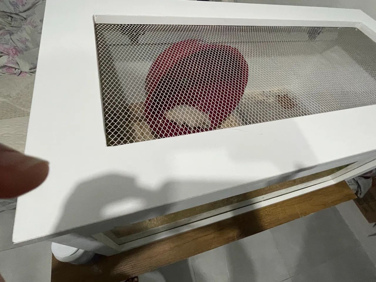 terrário hamster/roedores - Foto 4