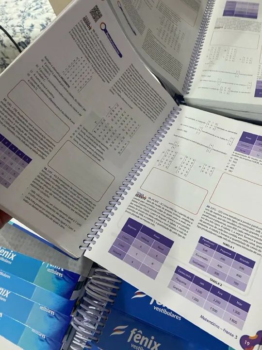 Livros Fênix Edição 2024  - Foto 4