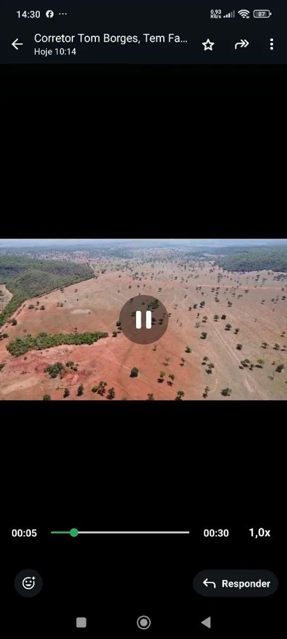 Fazenda arrendamento 3.000 hec em pasto, libera acima de 500hec 1° as no outro mais  - Foto 3