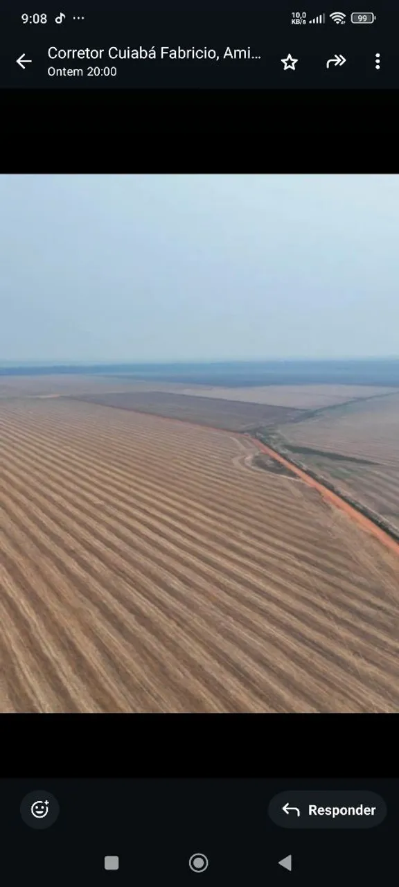 Fazenda de arrendamento 2.000hec em Ariquemes Rondonia.
