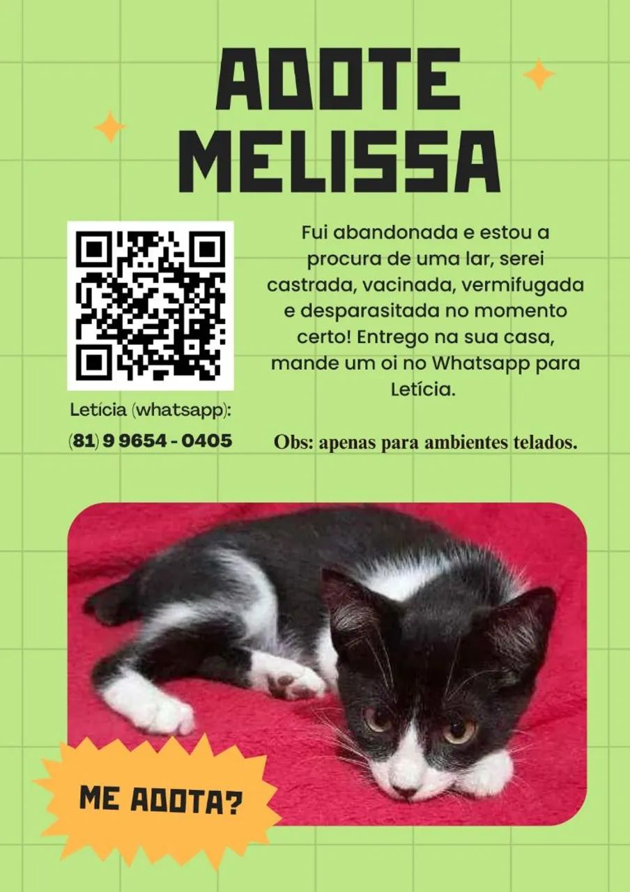 Gatinhas Amlie e Melissa para adoção! - Foto 2