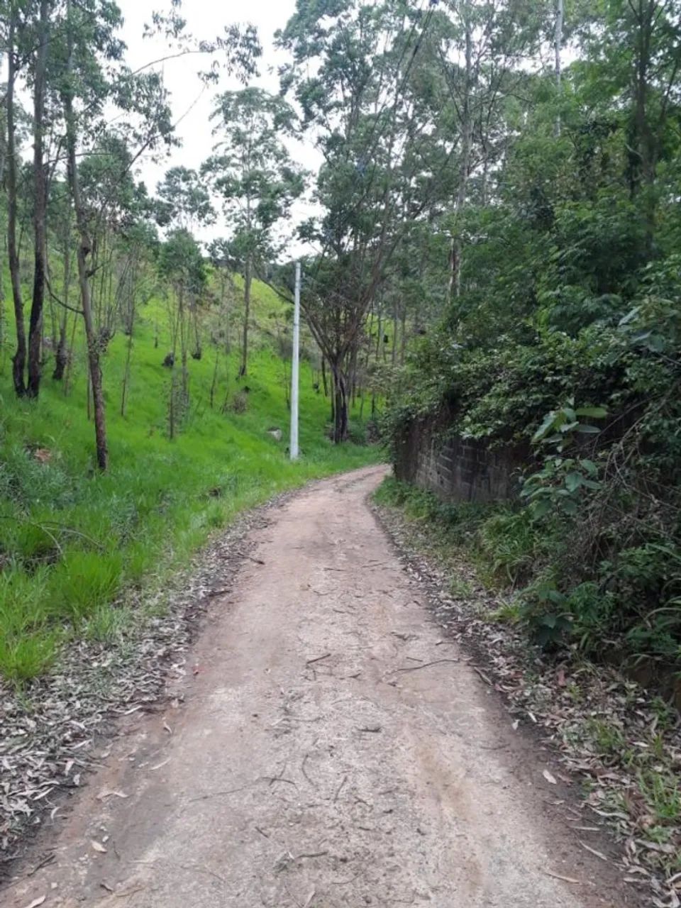 Terreno com 4000m2 próximo a rota do vinho com documentação - Foto 6