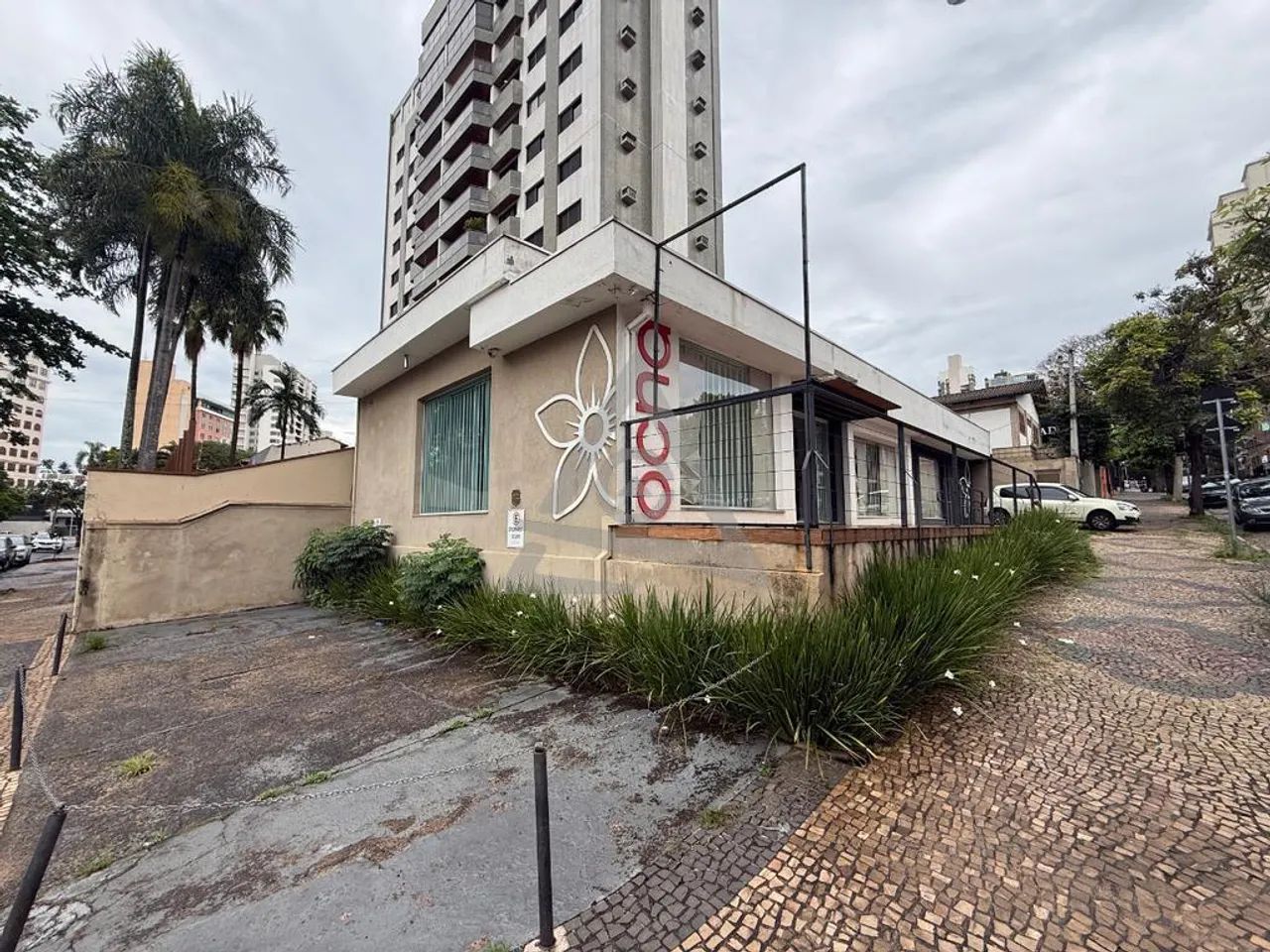 Casa para alugar em Campinas, Cambuí, com 4 quartos, com 324 m² - Foto 3