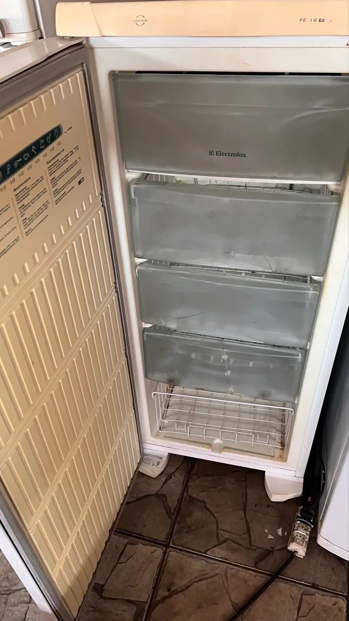 Freezer vertical