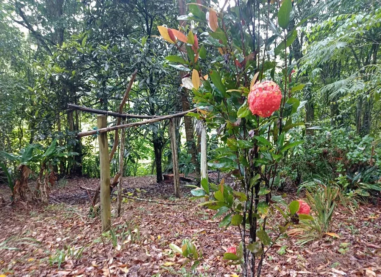 Chácara a venda em Salesópolis sp. - Foto 4