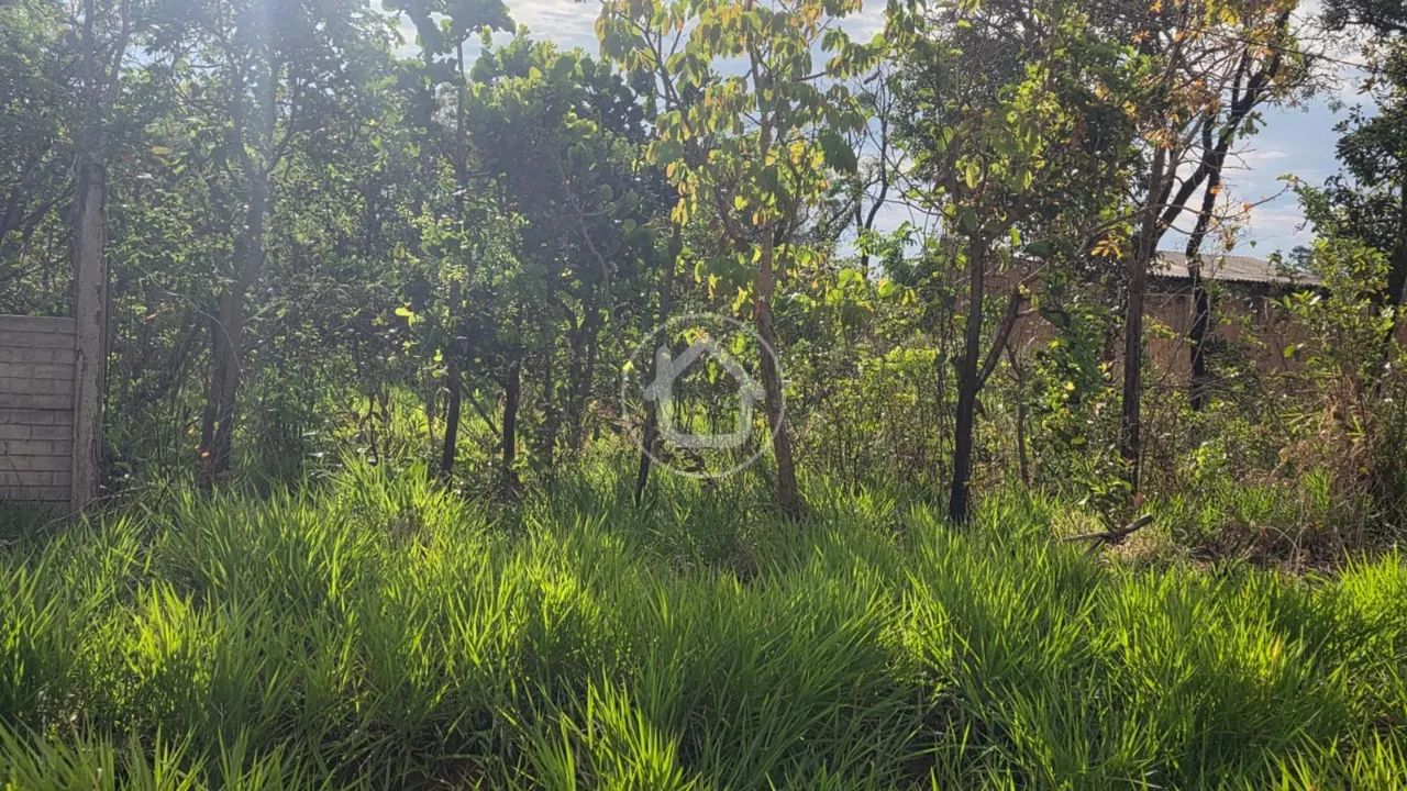 TERRENO - SEM ASFALTO - VIVENDAS DO PARQUE - Foto 4