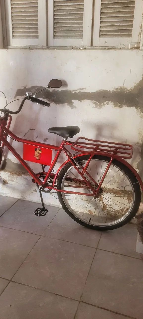 Bicicleta Cargueira  - Foto 2
