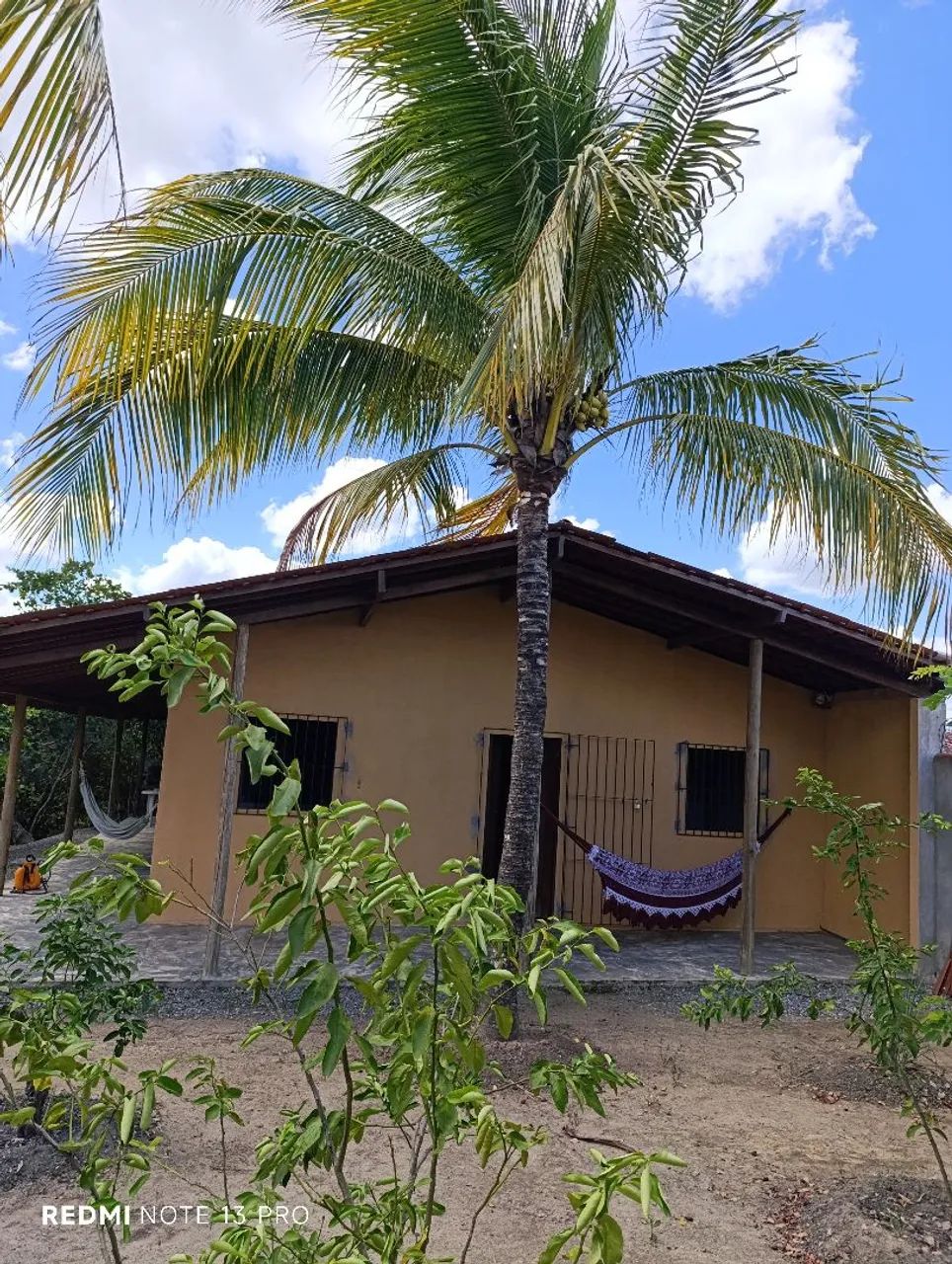 Sítio a venda - Foto 5